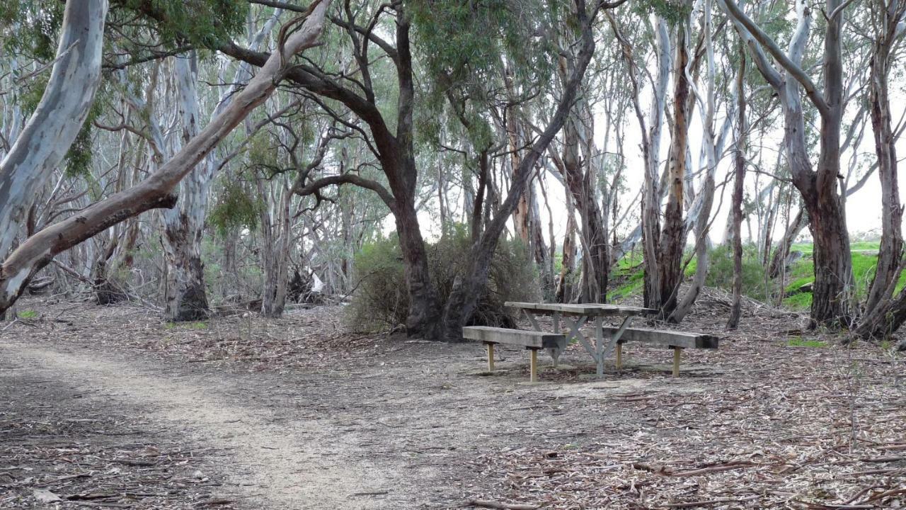Loddon River Motel Kerang Exteriör bild